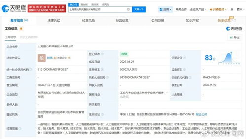 賽力斯的AI野心 以人工智能基礎軟件為支點，撬動智能汽車新未來